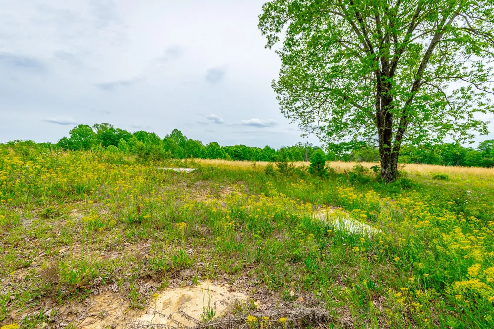 Ray Gadd Road Graysville, TN 37338
