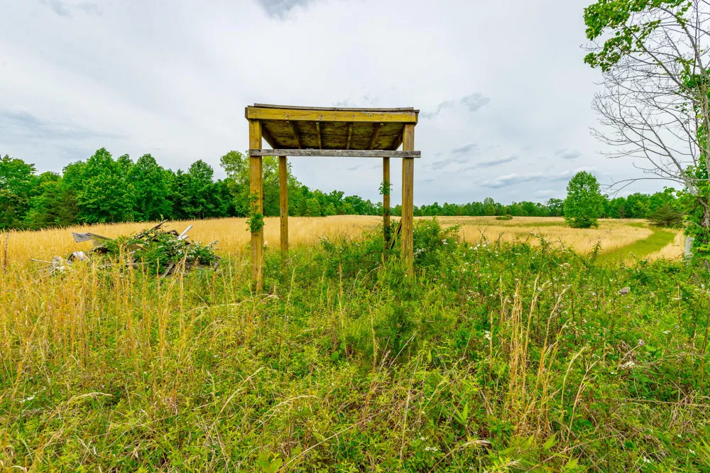 Ray Gadd Road Graysville, TN 37338
