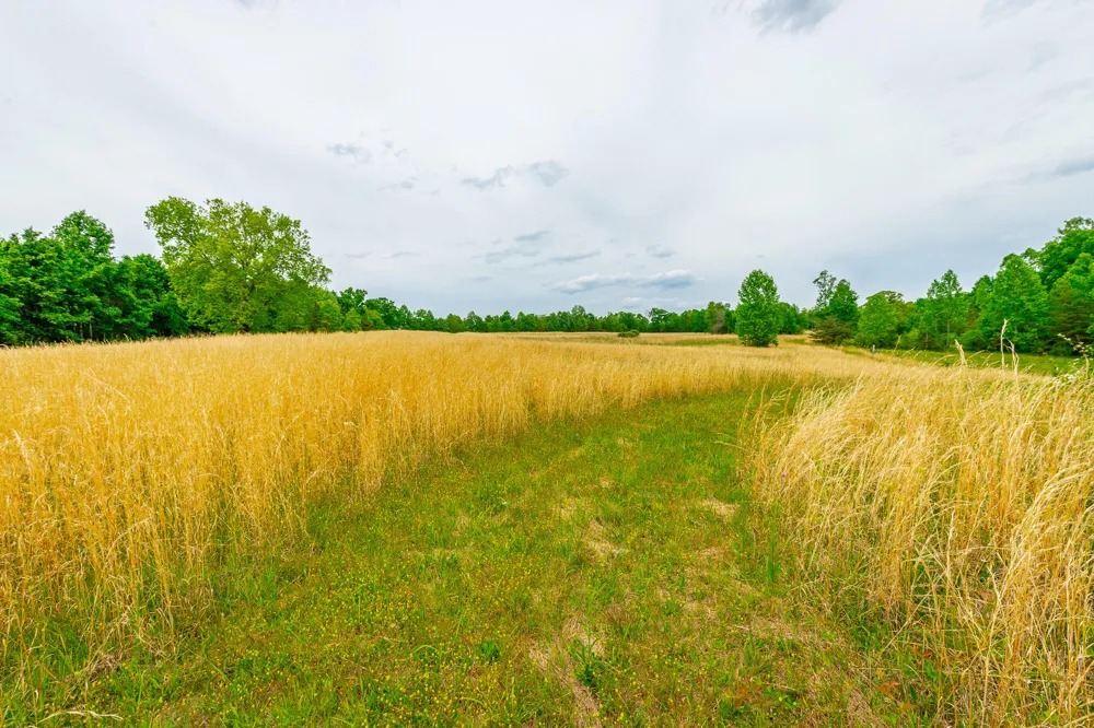 Ray Gadd Road Graysville, TN 37338