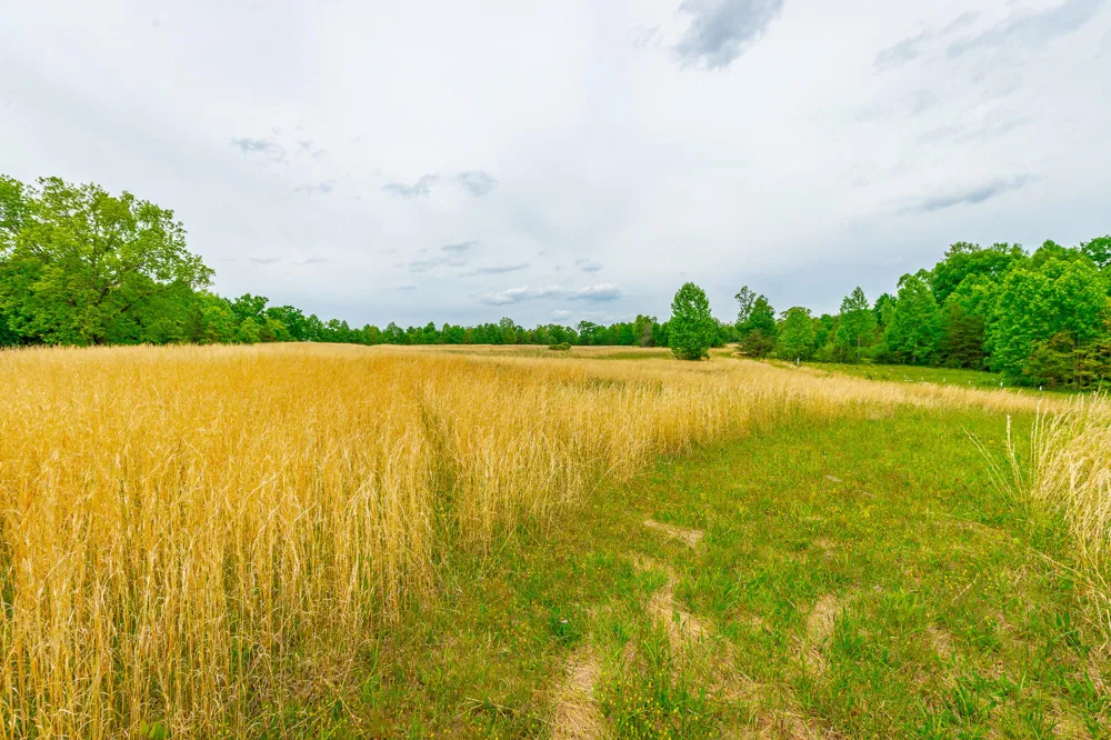 Ray Gadd Road Graysville, TN 37338