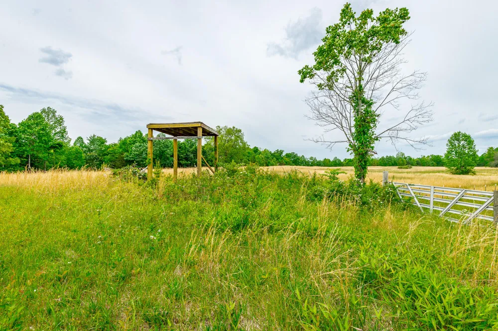 Ray Gadd Road Graysville, TN 37338