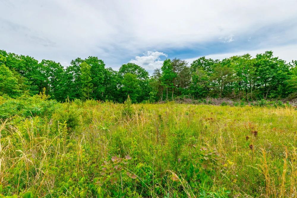 Ray Gadd Road Graysville, TN 37338