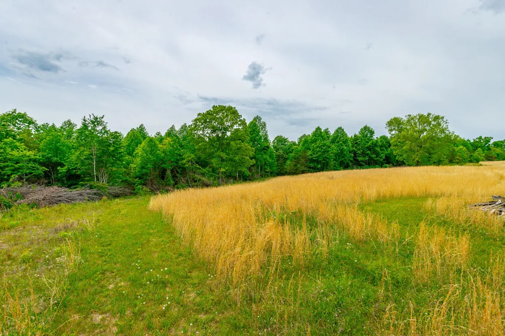 Ray Gadd Road Graysville, TN 37338