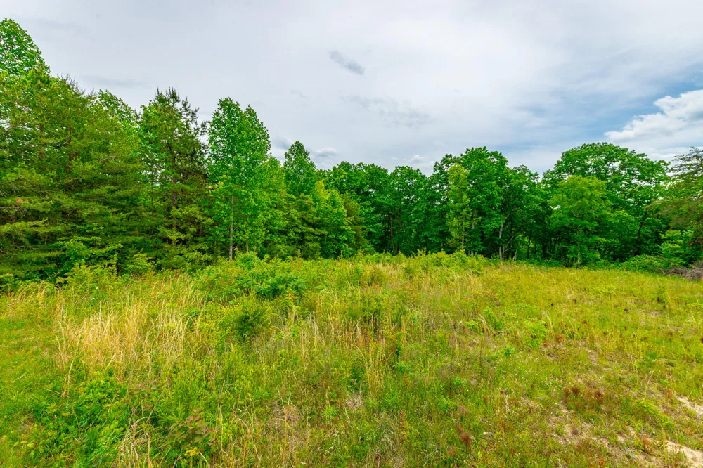 Ray Gadd Road Graysville, TN 37338
