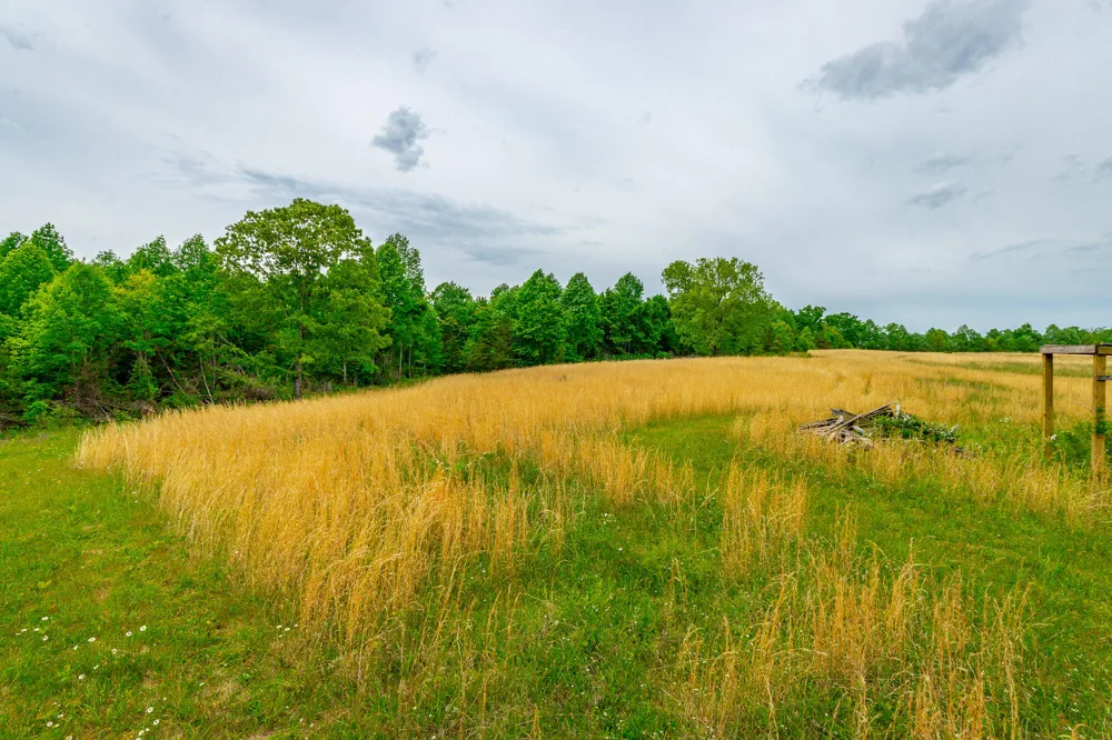 Ray Gadd Road Graysville, TN 37338