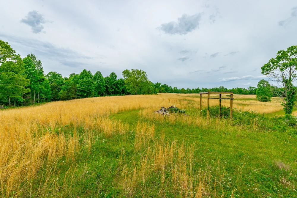 Ray Gadd Road Graysville, TN 37338