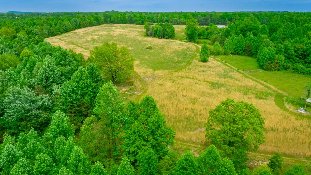 Ray Gadd Road Graysville, TN 37338