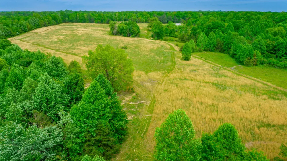 Ray Gadd Road Graysville, TN 37338