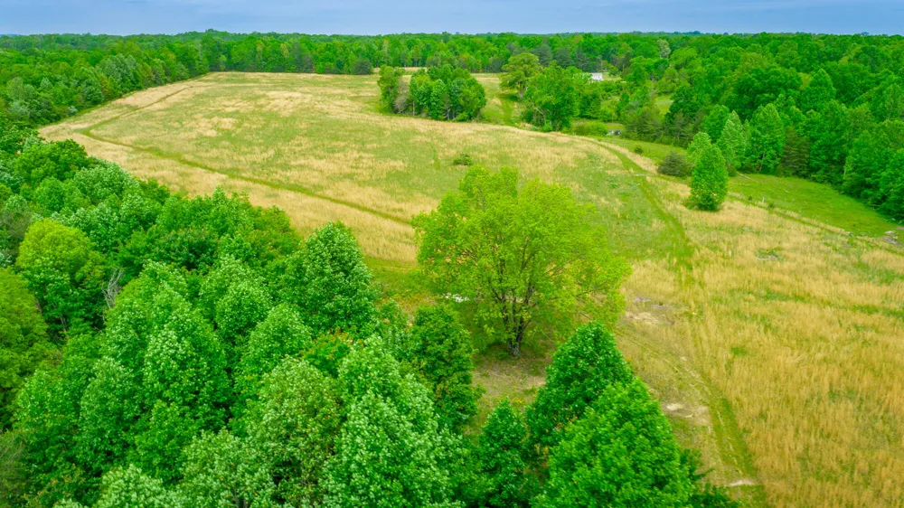 Ray Gadd Road Graysville, TN 37338