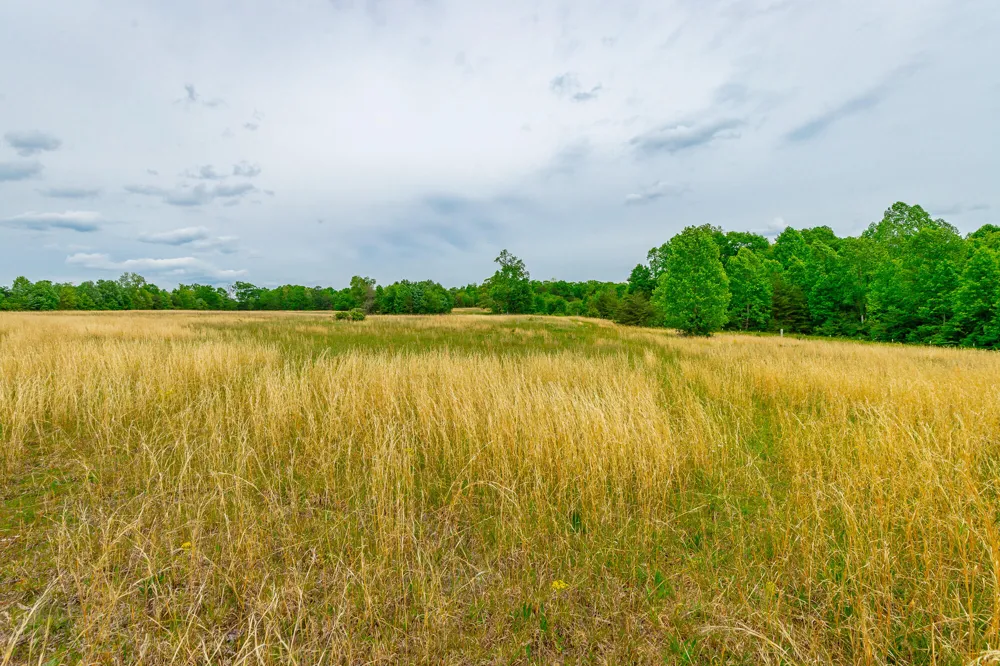 Ray Gadd Road Graysville, TN 37338
