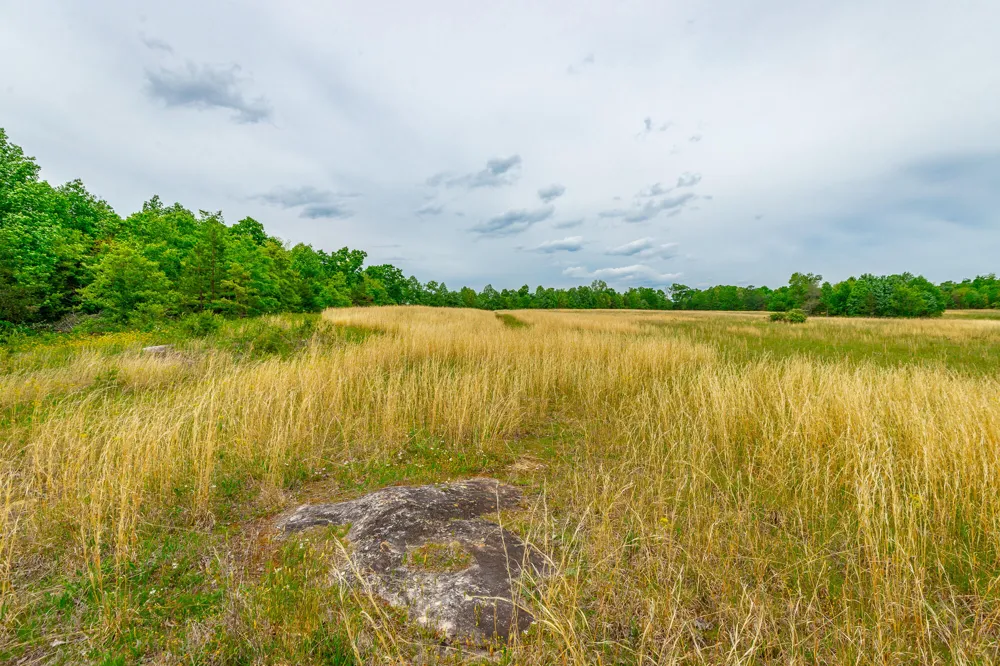 Ray Gadd Road Graysville, TN 37338