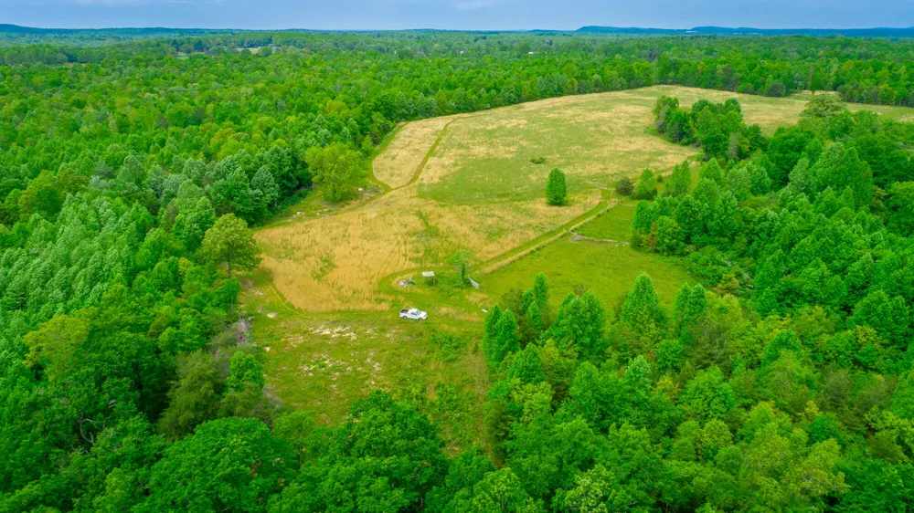Ray Gadd Road Graysville, TN 37338