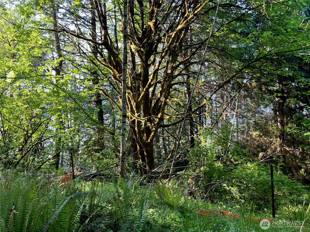 5710 Oyster Bay Road NW Olympia, WA 98502