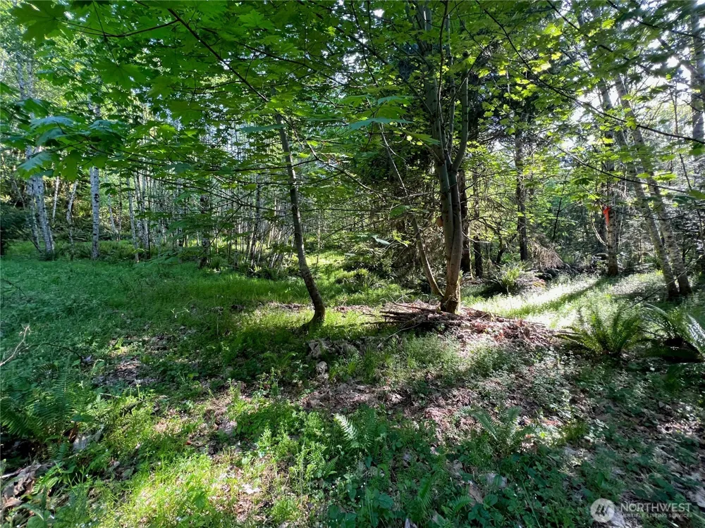 5710 Oyster Bay Road NW Olympia, WA 98502