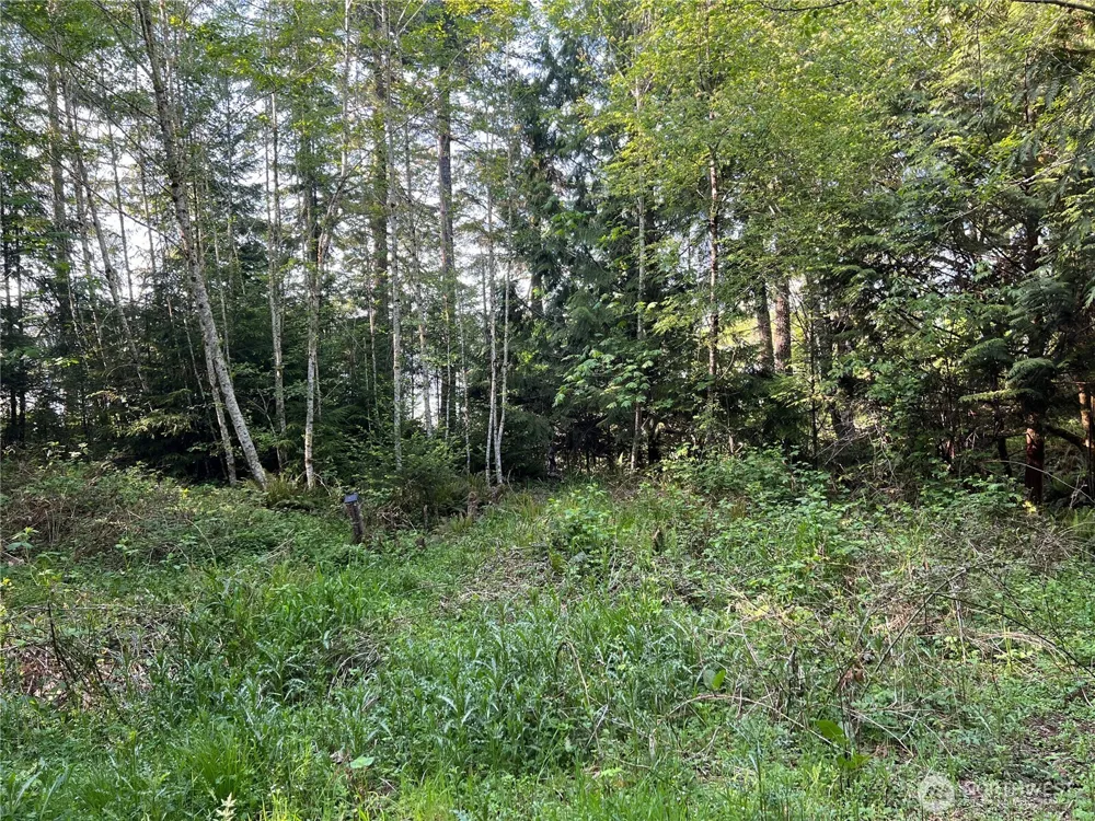 5710 Oyster Bay Road NW Olympia, WA 98502