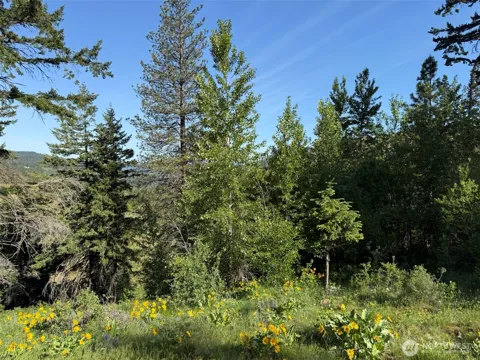 17 XX Twin Lakes Road