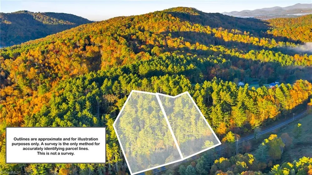 TBD 18-19 Davis Acres Drive West Jefferson, NC 28694