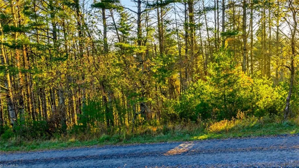 TBD 18-19 Davis Acres Drive West Jefferson, NC 28694