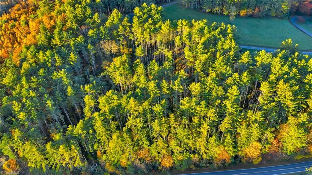 TBD 18-19 Davis Acres Drive West Jefferson, NC 28694