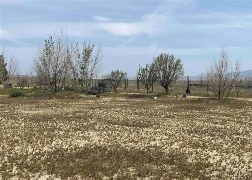 14555 Bellflower Santa Margarita, CA 93453