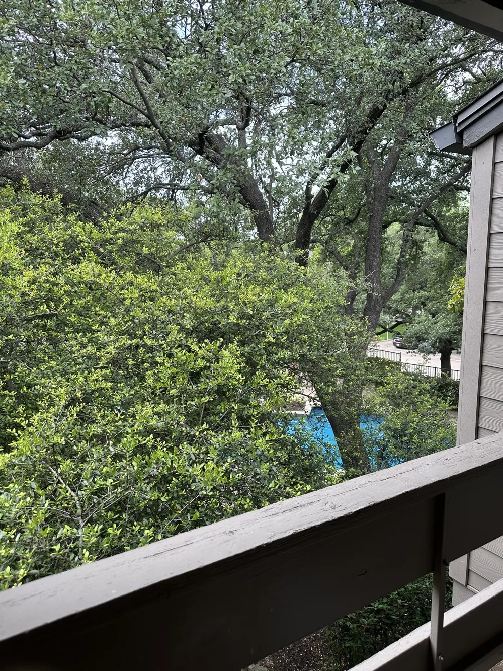 9801 Royal Lane #208 Dallas, TX 75231