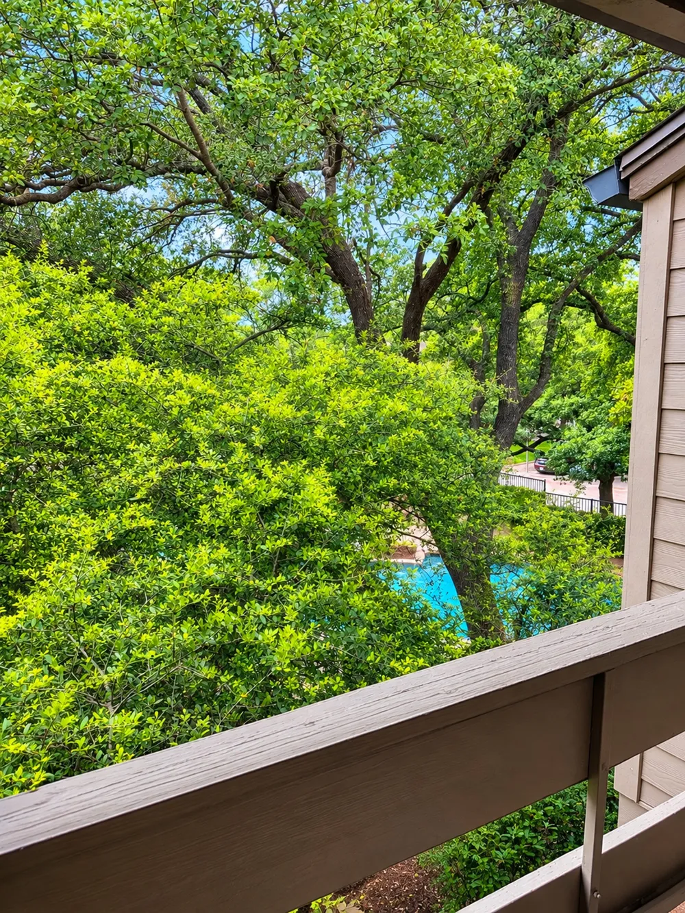 9801 Royal Lane #208 Dallas, TX 75231