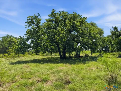 13 Pr 4219
