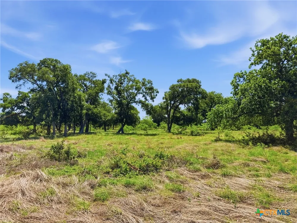 13 Pr 4219 Evant, TX 76525