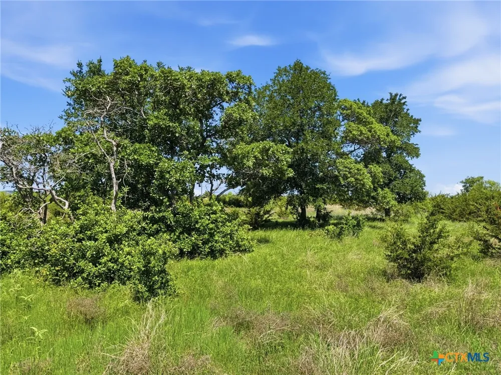 13 Pr 4219 Evant, TX 76525