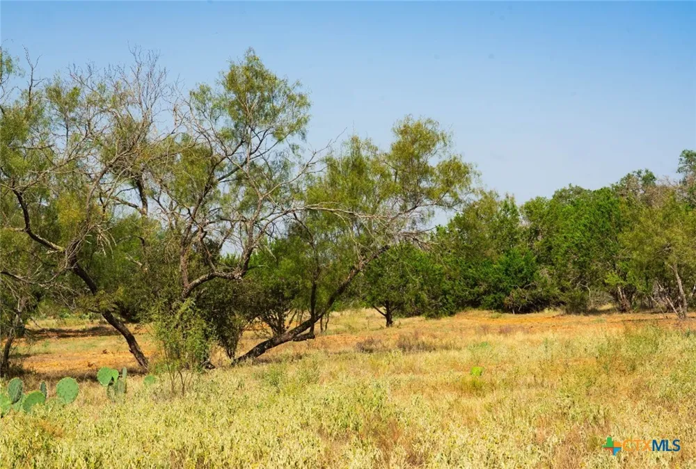 Old Ferry Road Spicewood, TX 78669