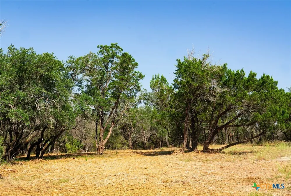 Old Ferry Road Spicewood, TX 78669