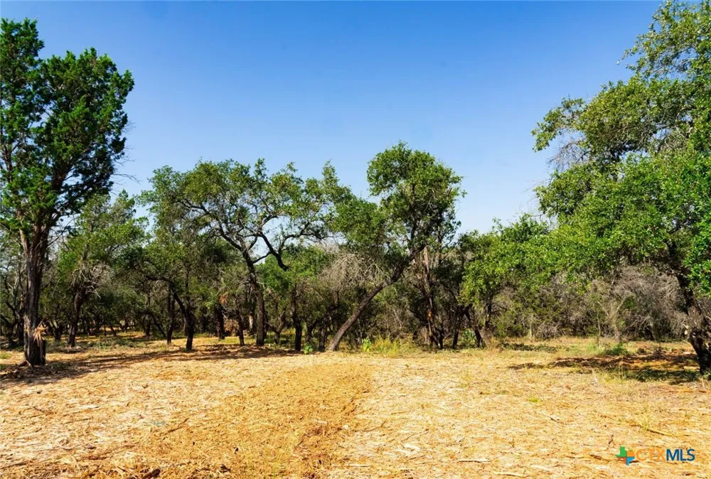 Old Ferry Road Spicewood, TX 78669