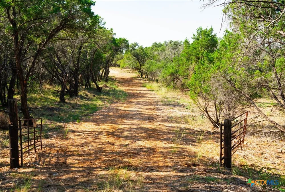 Old Ferry Road Spicewood, TX 78669