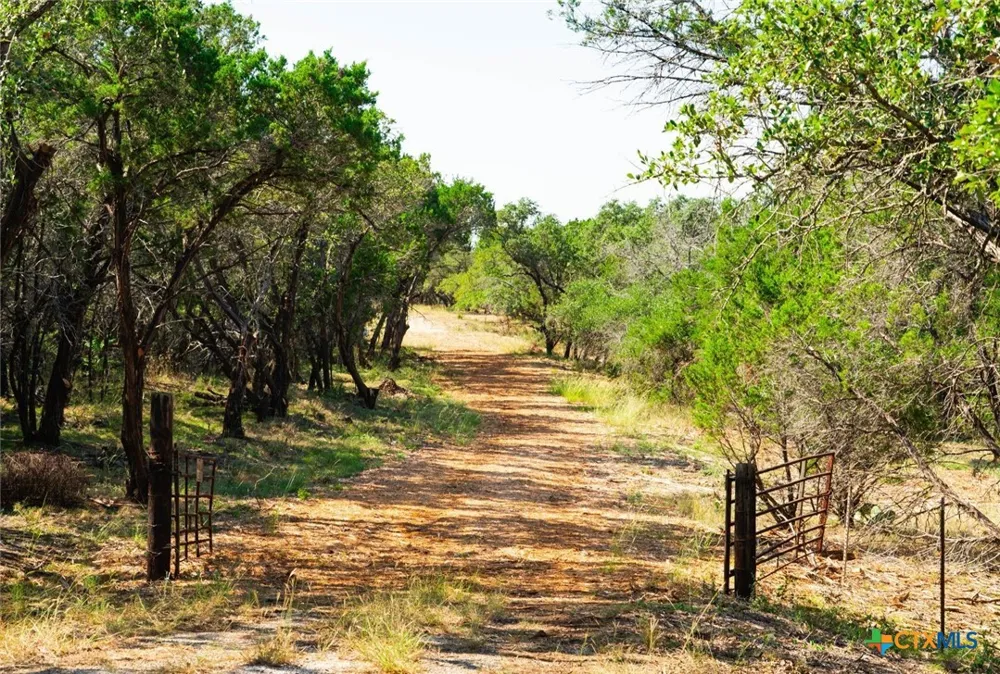 Old Ferry Road Spicewood, TX 78669