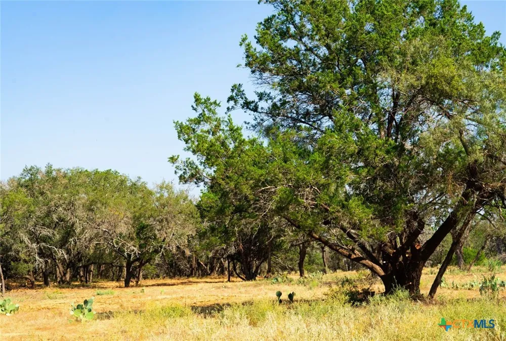 Old Ferry Road Spicewood, TX 78669