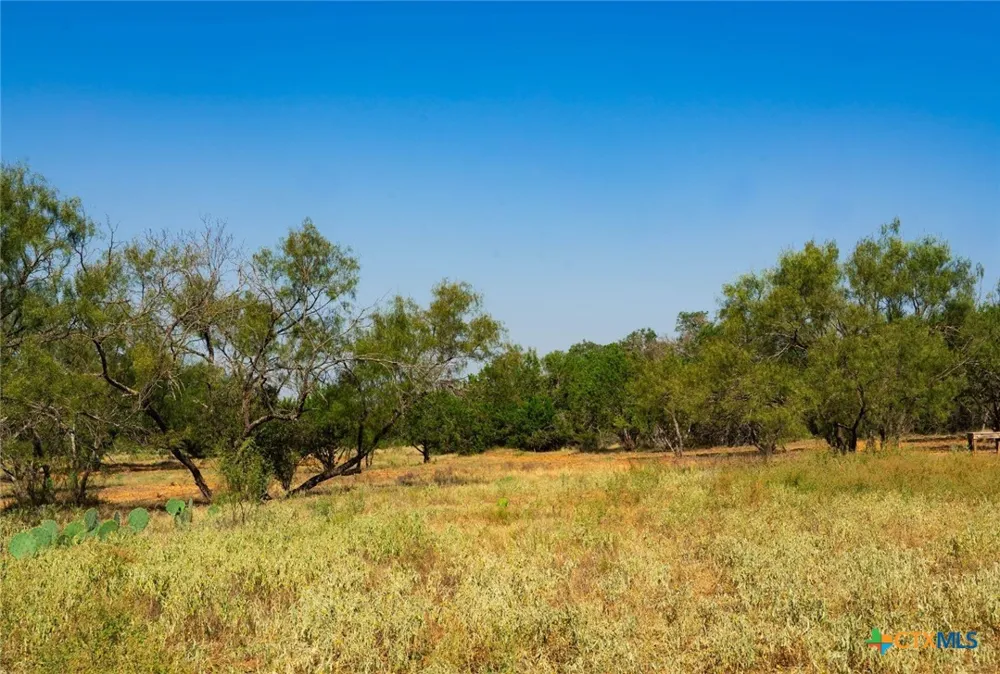 Old Ferry Road Spicewood, TX 78669