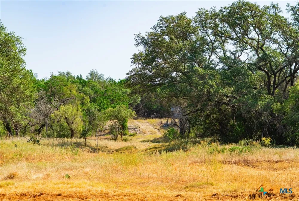 Old Ferry Road Spicewood, TX 78669
