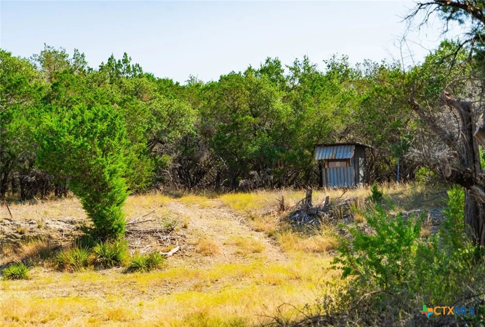 Old Ferry Road Spicewood, TX 78669