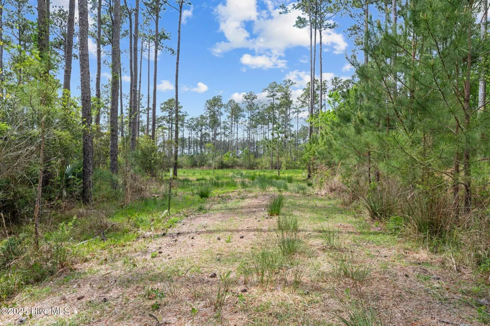 3411 Upper Neck Road Bayboro, NC 28515