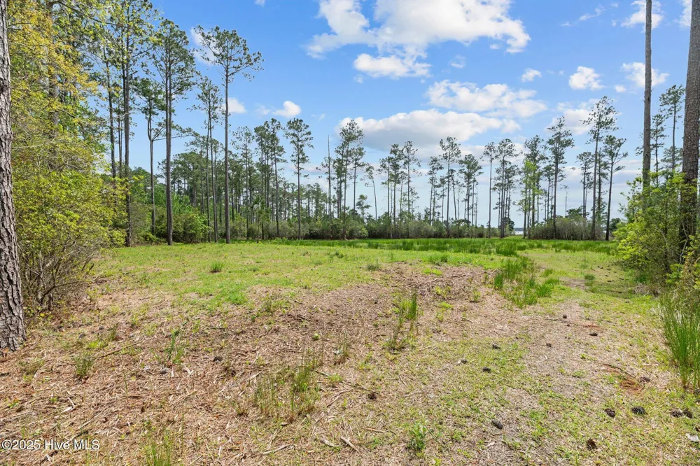 3411 Upper Neck Road Bayboro, NC 28515