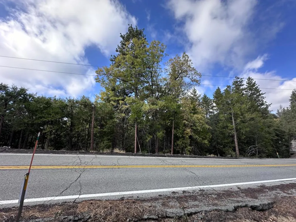 Address Not Shown Idyllwild, CA 92549