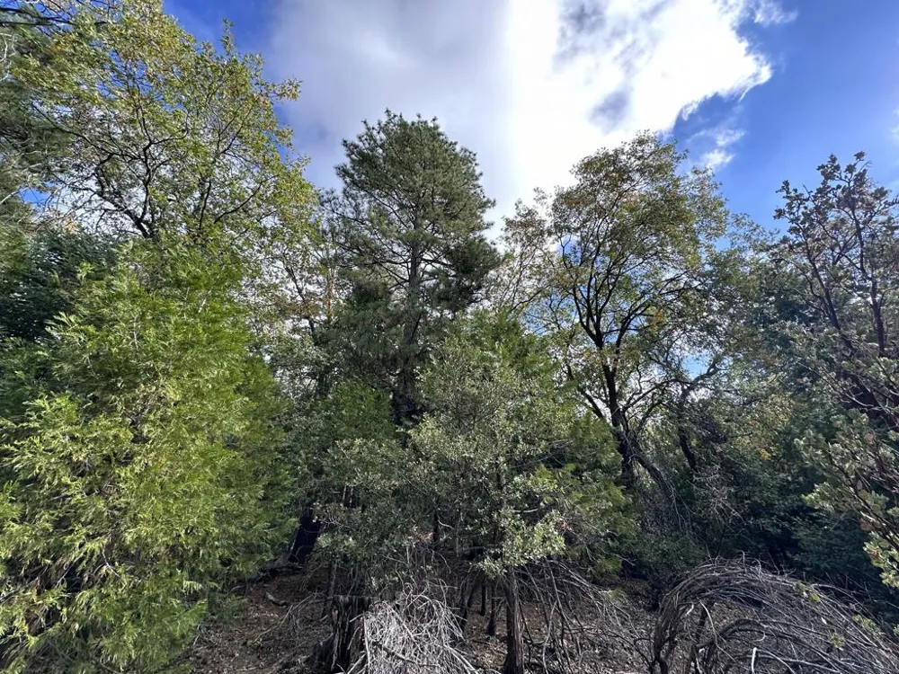 Address Not Shown Idyllwild, CA 92549