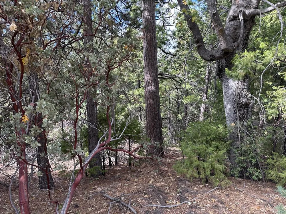 Address Not Shown Idyllwild, CA 92549