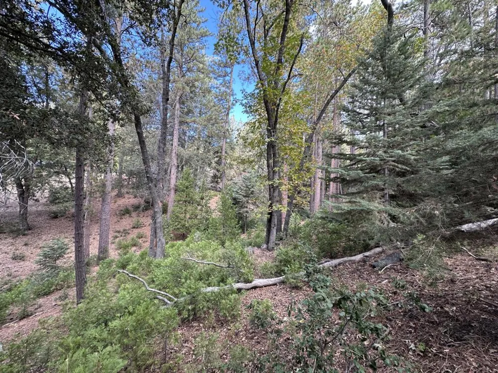Address Not Shown Idyllwild, CA 92549