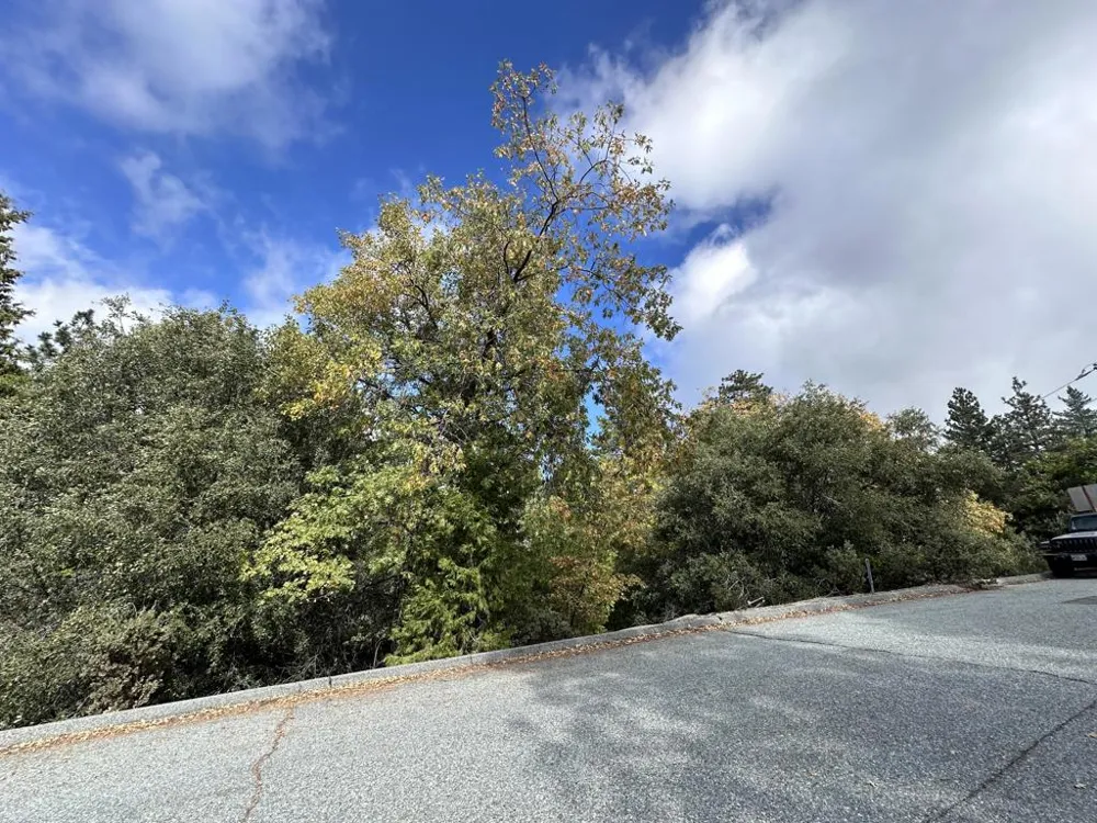 Address Not Shown Idyllwild, CA 92549