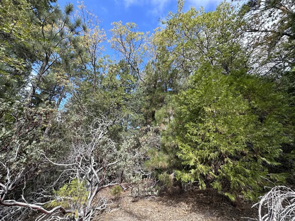 Address Not Shown Idyllwild, CA 92549
