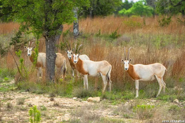 LOT 48 Great Sky Ave Kerrville, TX 78028
