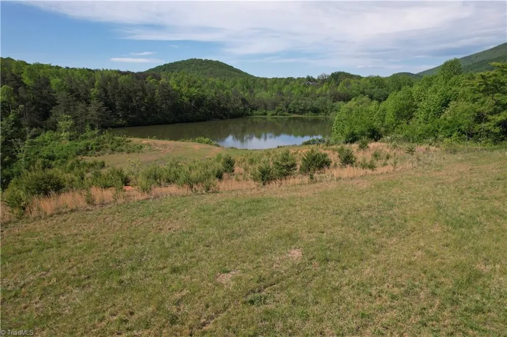 1155 Holly Grove Road Lambsburg, VA 24351