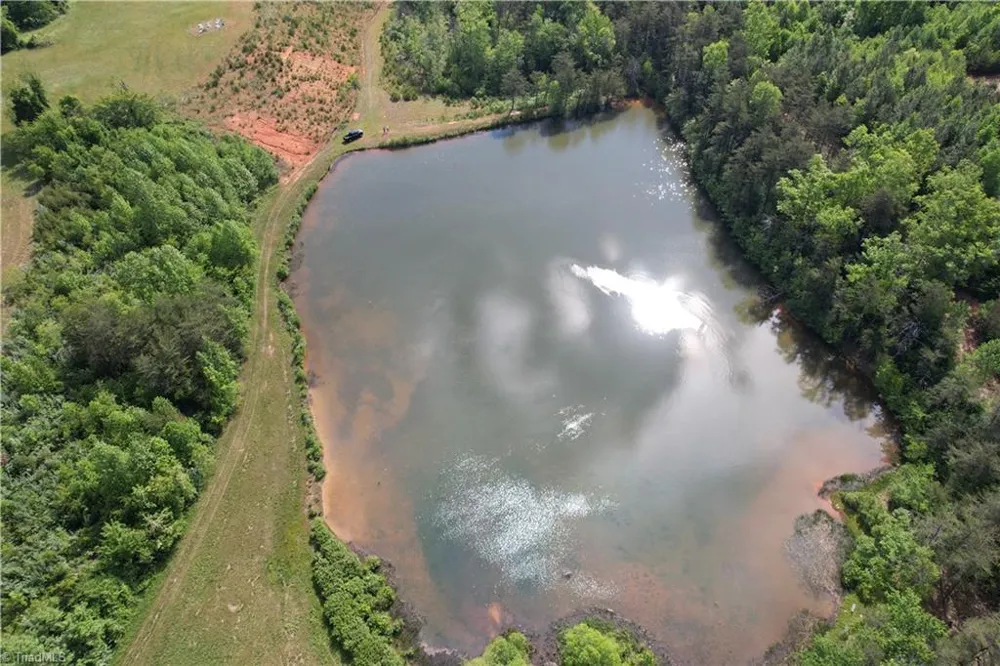 1155 Holly Grove Road Lambsburg, VA 24351