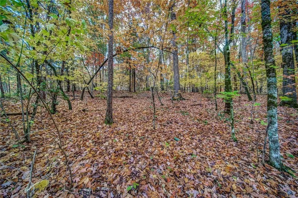 543 Cove Lake Drive Marble Hill, GA 30148
